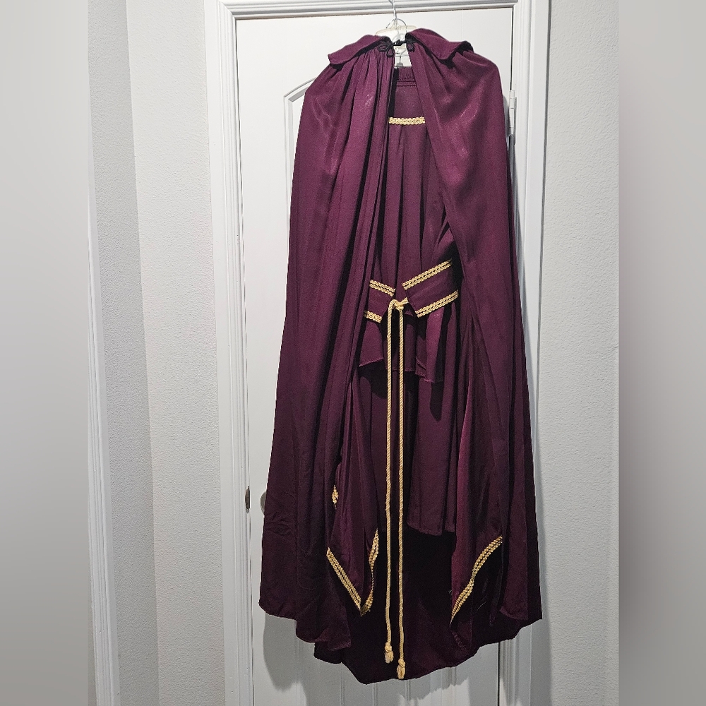 Plum Purple Maid Marian Renessaince Costume With Gold Trim